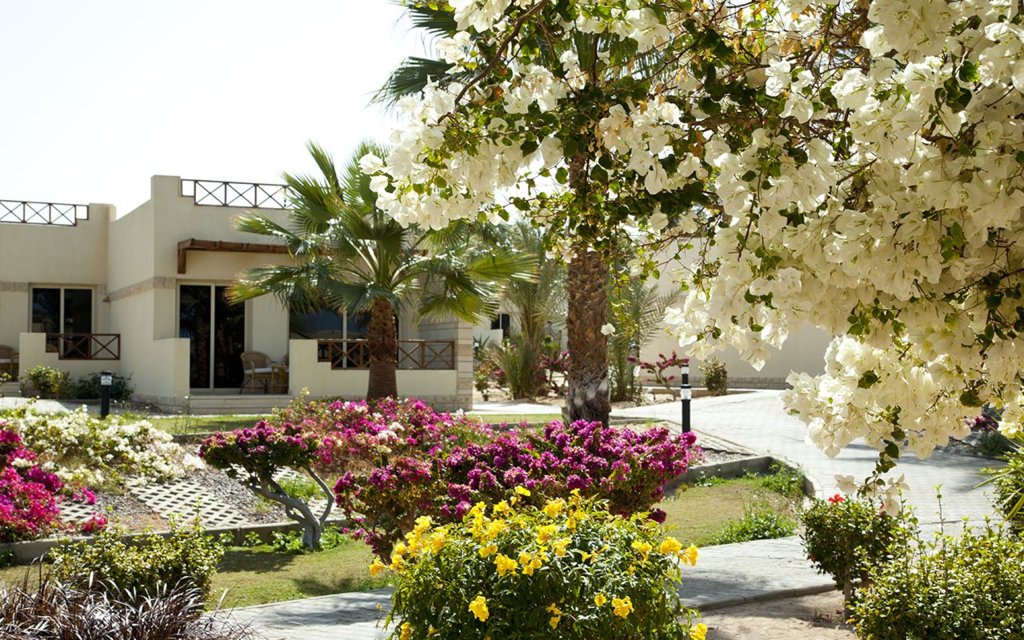 Отель Coral Beach Resort Hurghada, Хургада, Египет