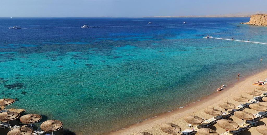 Отель Sentido Reef Oasis Senses Resort, Шарм, Египет