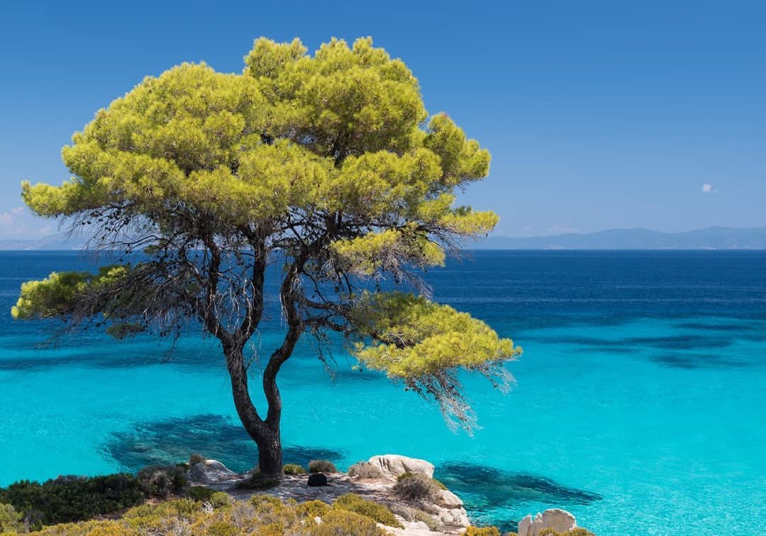 Ситония, полуостров Халкидики, Греция