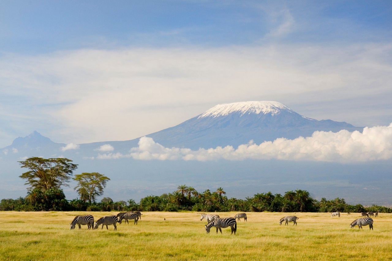 Сафари Нгоронгоро, Тарангире, Килиманджаро, Танзания