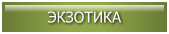ЭКЗОТИКА